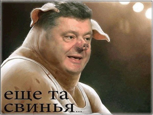 Порошенко поблагодарил лидеров, не поехавших в Москву на Парад Победы