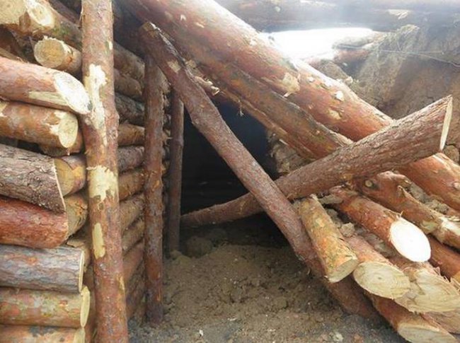 После дождя...