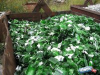 Удивительные удивления или прием стеклотары