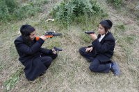 Гражданская война насекомых