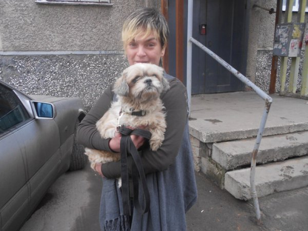 Новая жизнь донецких собак. Как брошенные животные обрели семьи в России