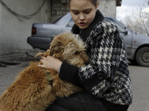 Новая жизнь донецких собак. Как брошенные животные обрели семьи в России