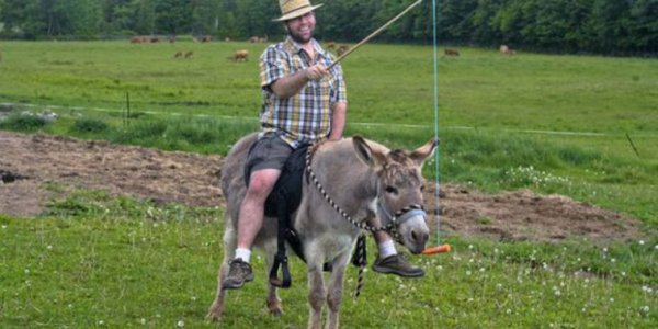 Морковка перед осликом: Порошенко получил в Риге все, о чём мечтал