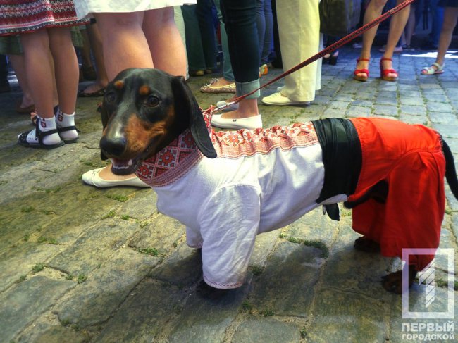 Мегамарш вышиванок или Херои не умирают, а скачут