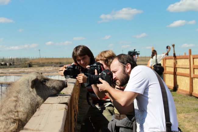 Сумасшедшие фотографы