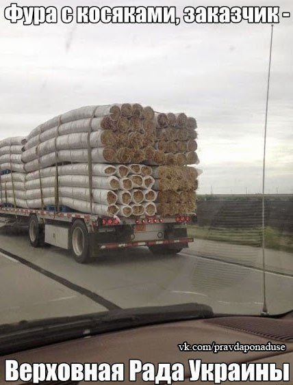 "Мыздобулы" в картинках. Смешных и не очень... 02-06-2015