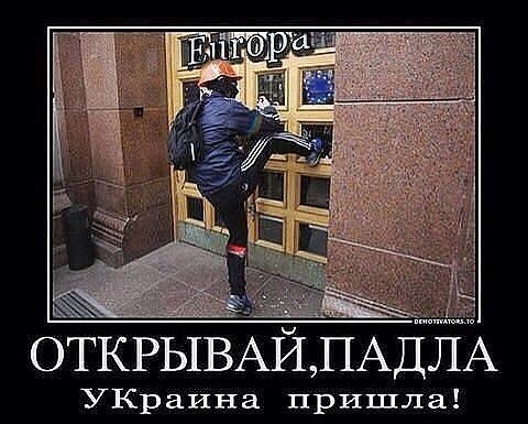 "Мыздобулы" в картинках. Смешных и не очень... 02-06-2015