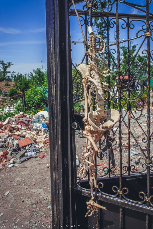 Под огнем перемирия. Заметка от военкора Дениса Григорюка