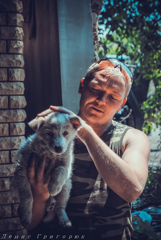 Под огнем перемирия. Заметка от военкора Дениса Григорюка