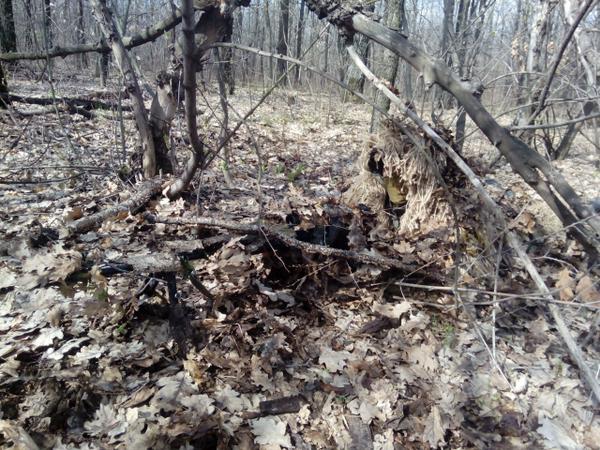 Сводки от ополчения Новороссии 07.06.2015 Сводки от ополчения Новороссии 07.06.2015