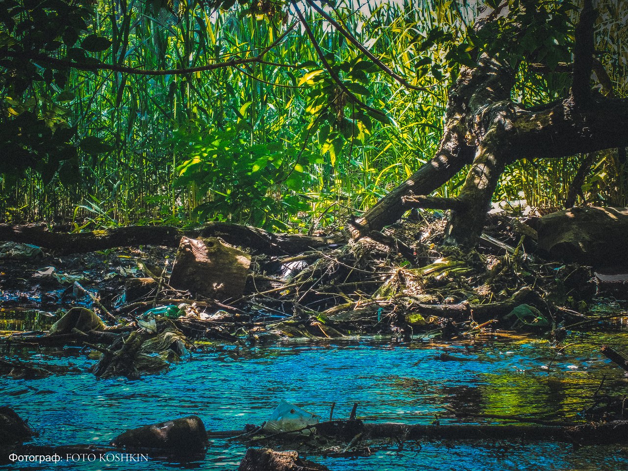 Сводки от ополчения Новороссии 08.06.2015 Сводки от ополчения Новороссии 08.06.2015