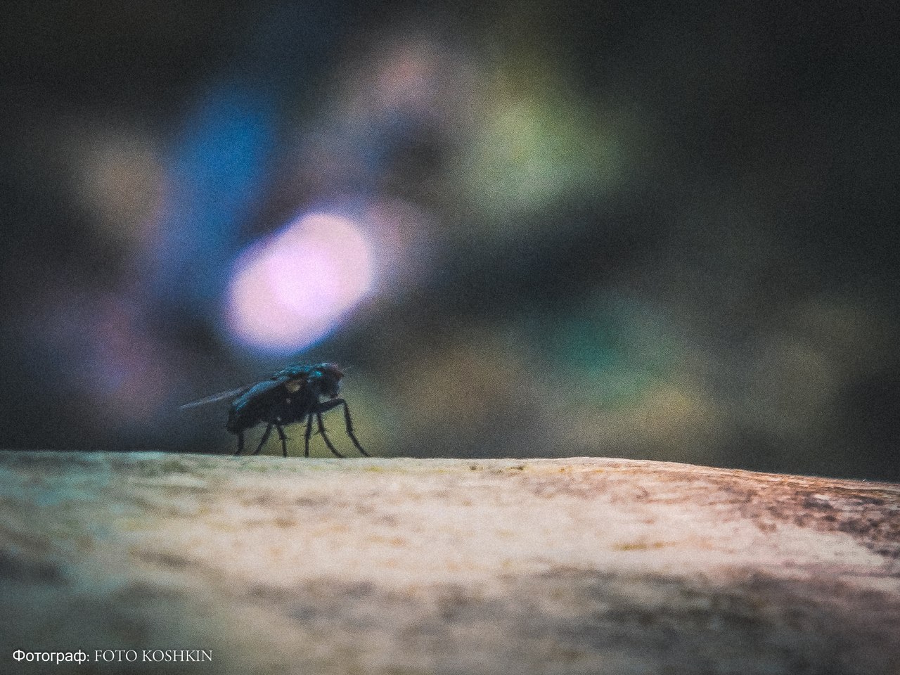 Сводки от ополчения Новороссии 08.06.2015 Сводки от ополчения Новороссии 08.06.2015