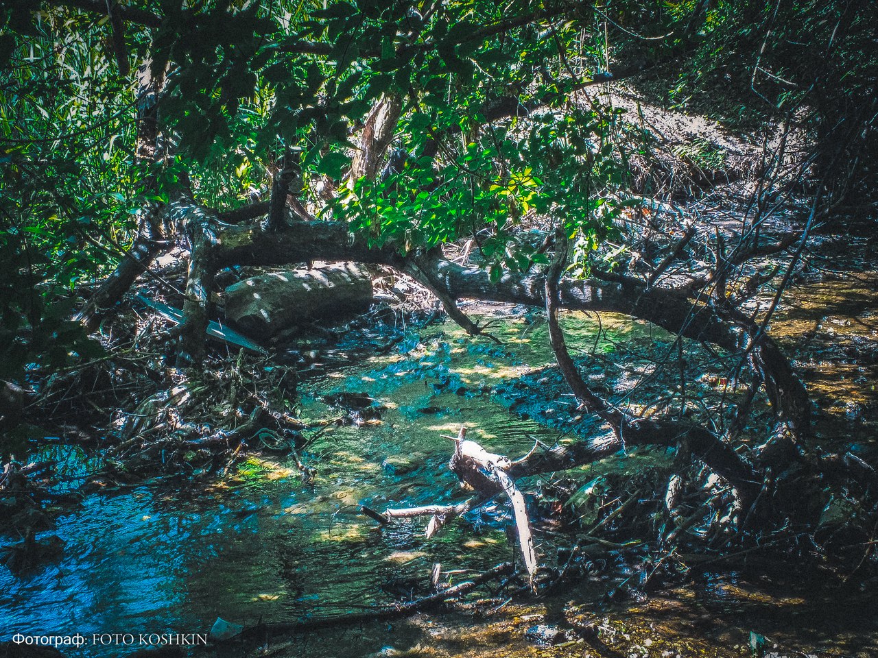 Сводки от ополчения Новороссии 08.06.2015 Сводки от ополчения Новороссии 08.06.2015