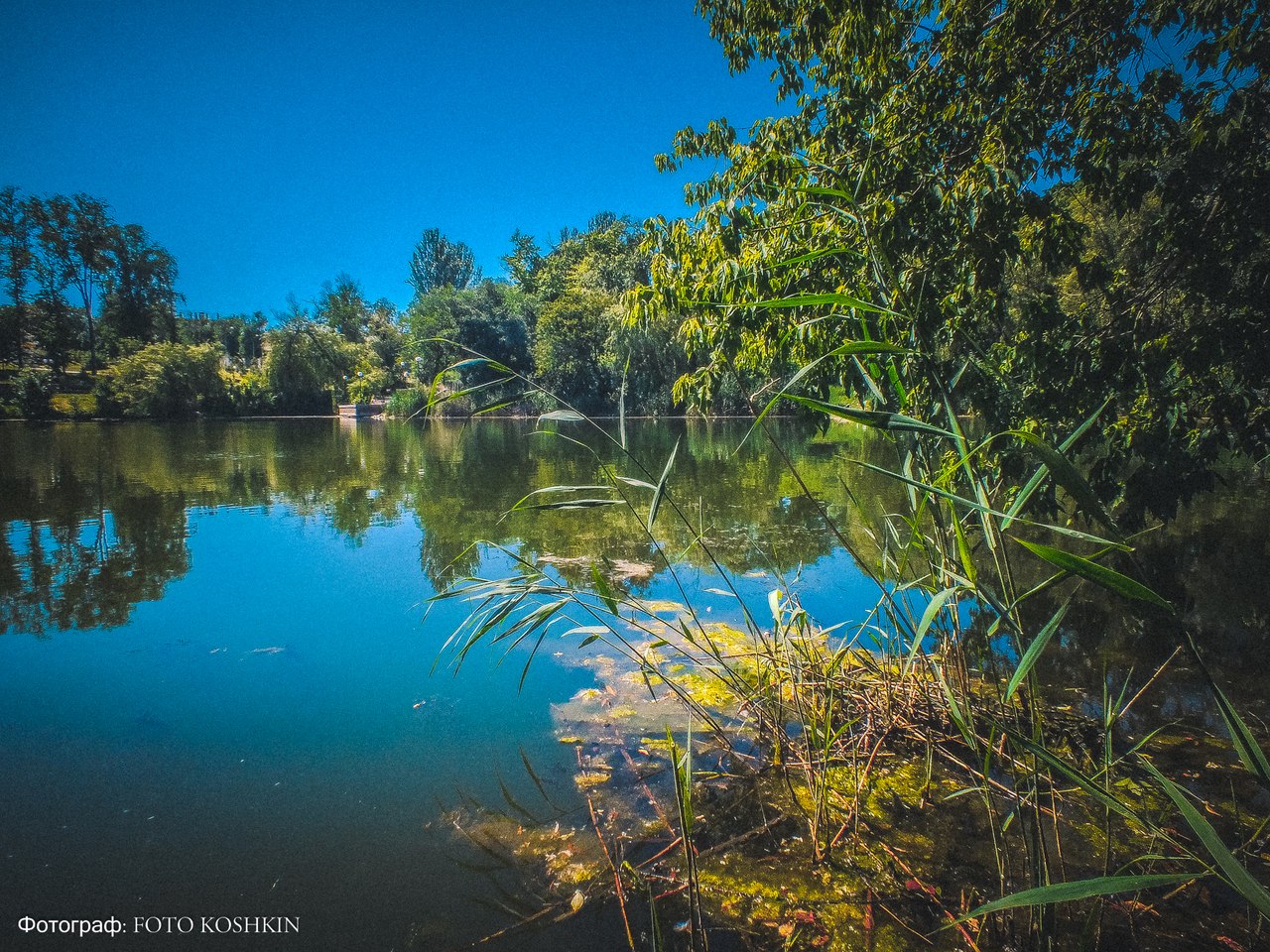 Сводки от ополчения Новороссии 08.06.2015 Сводки от ополчения Новороссии 08.06.2015