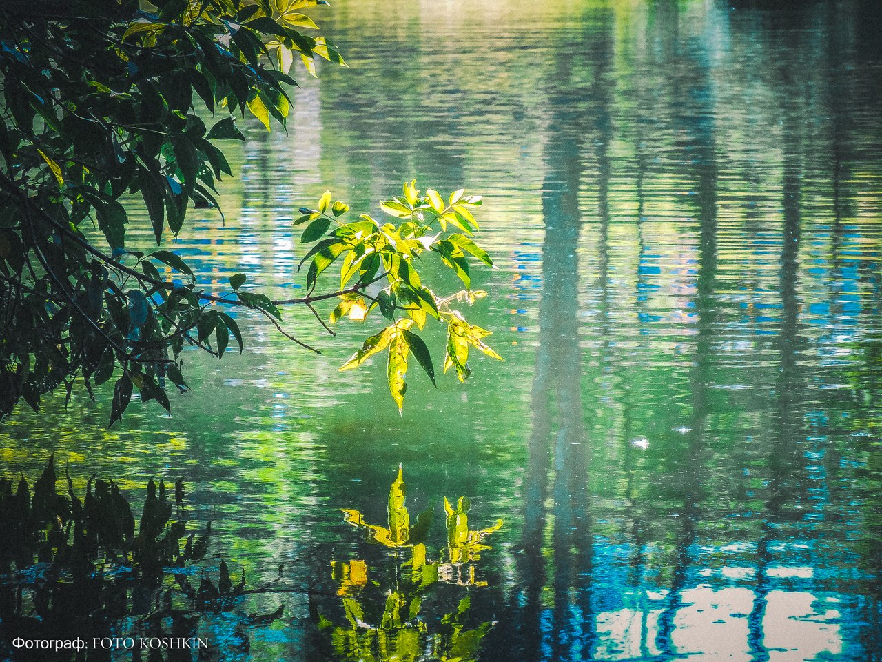 Сводки от ополчения Новороссии 08.06.2015 Сводки от ополчения Новороссии 08.06.2015