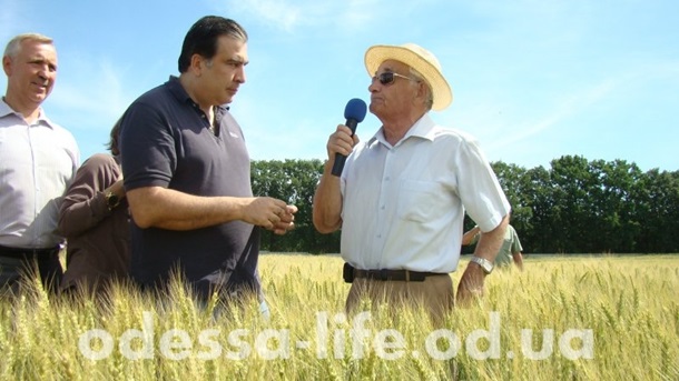 Провокация. Саакашвили & Cобчак Провокация. Саакашвили & Cобчак