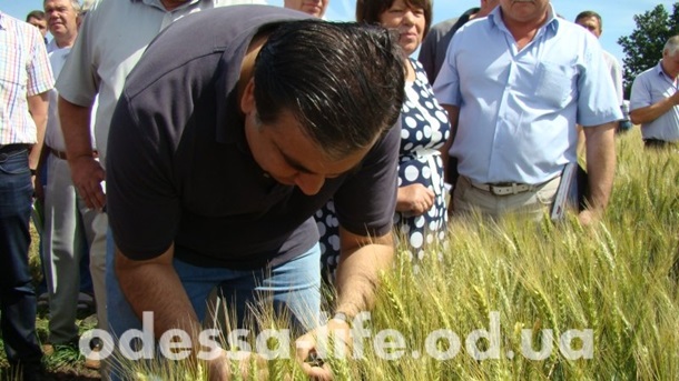 Провокация. Саакашвили & Cобчак Провокация. Саакашвили & Cобчак