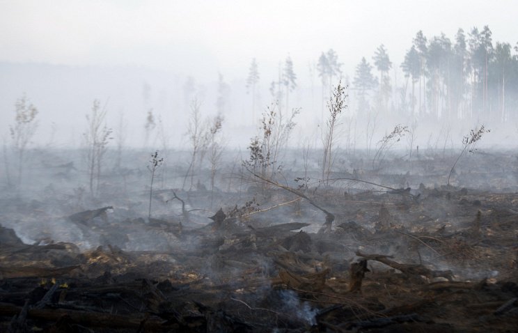 Минэкологии Украины: четыре торфяных пожара зафиксированы под Киевом Минэкологии Украины: четыре торфяных пожара зафиксированы под Киевом