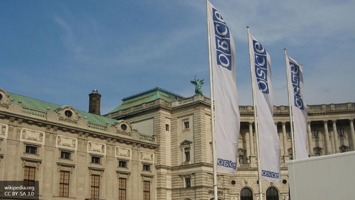 Представителем ОБСЕ по Украине может стать «московский» австриец Представителем ОБСЕ по Украине может стать «московский» австриец