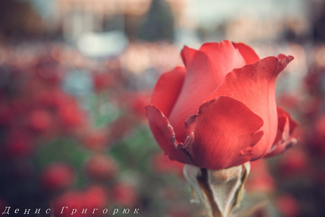 Сводки от ополчения Новороссии 12.06.2015 Сводки от ополчения Новороссии 12.06.2015