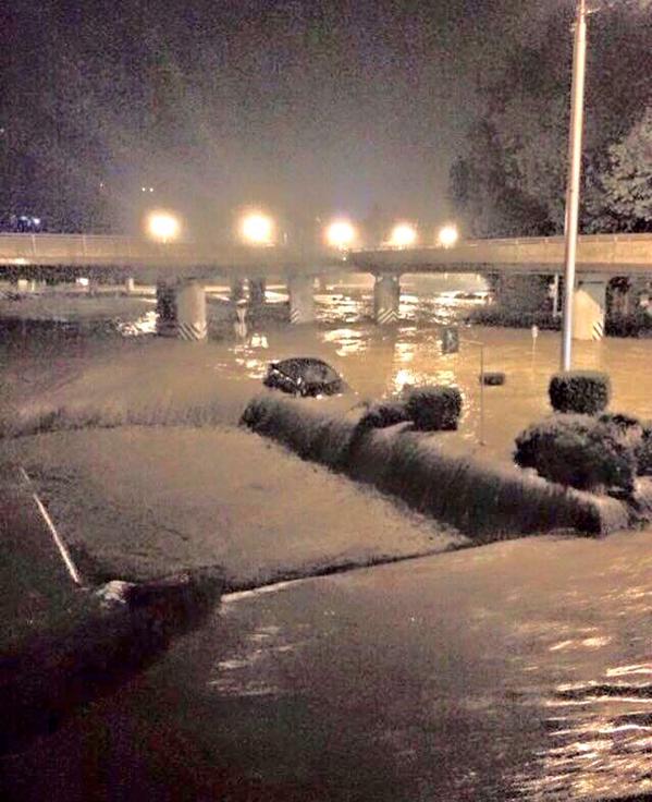 Разгул стихии в Тбилиси: 11 погибших, десятки опасных хищников на свободе Разгул стихии в Тбилиси: 11 погибших, десятки опасных хищников на свободе