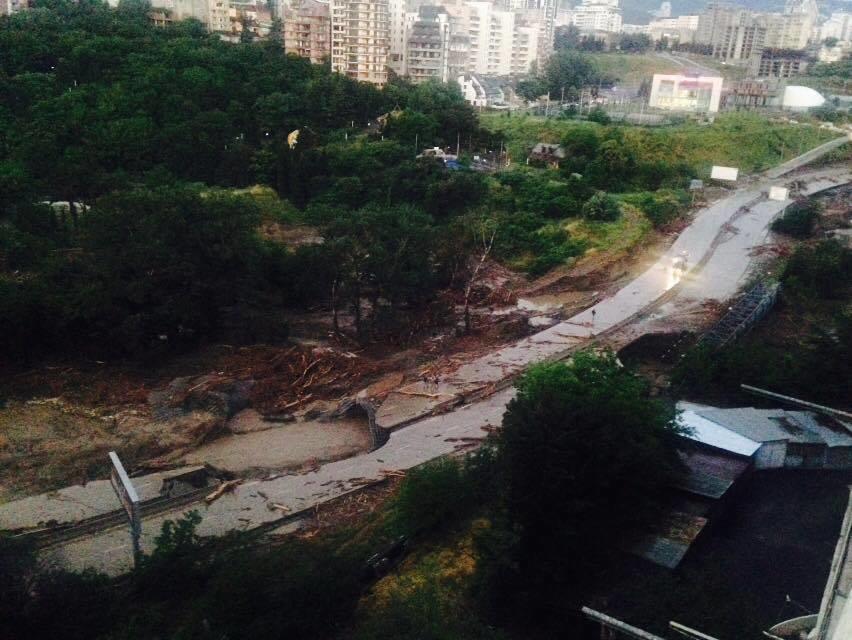 Разгул стихии в Тбилиси: 11 погибших, десятки опасных хищников на свободе Разгул стихии в Тбилиси: 11 погибших, десятки опасных хищников на свободе