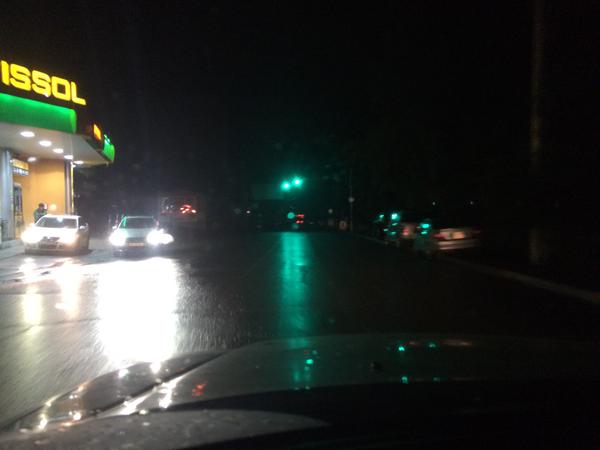 Разгул стихии в Тбилиси: 11 погибших, десятки опасных хищников на свободе Разгул стихии в Тбилиси: 11 погибших, десятки опасных хищников на свободе