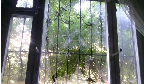 Сводки от ополчения Новороссии 14.06.2015 Сводки от ополчения Новороссии 14.06.2015