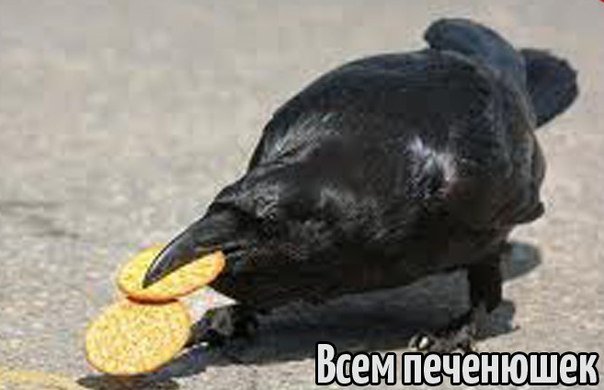 Нуланд: Мы протянем руку России, как только она перестанет нарушать правила Нуланд: Мы протянем руку России, как только она перестанет нарушать правила