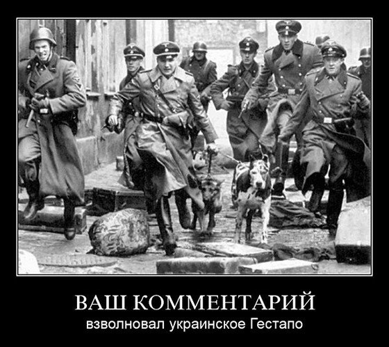 Обзор оперативной обстановки от Юрия Селиванова на 17.06.2015 Обзор оперативной обстановки от Юрия Селиванова на 17.06.2015