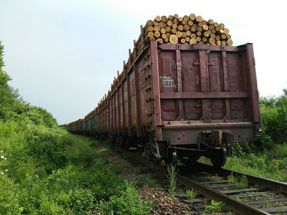 Цукур: за то, что я остановил контрабнду на 10млн грн из ЛНР - украинские власти мне сожгли дом