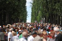 "Порошенко – президент войны!": в Киеве разогнали очередную акцию протеста