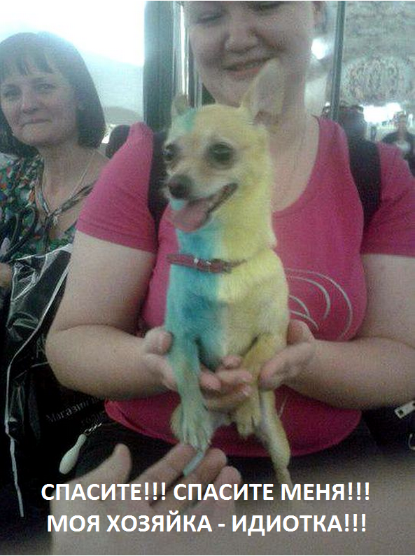 На манеже всё те же - подборка картинок (6) На манеже всё те же - подборка картинок (6)