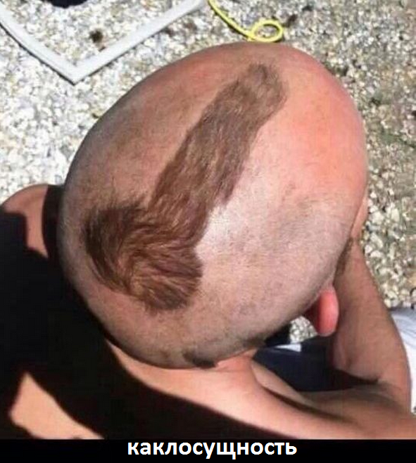 На манеже всё те же - подборка картинок (6) На манеже всё те же - подборка картинок (6)