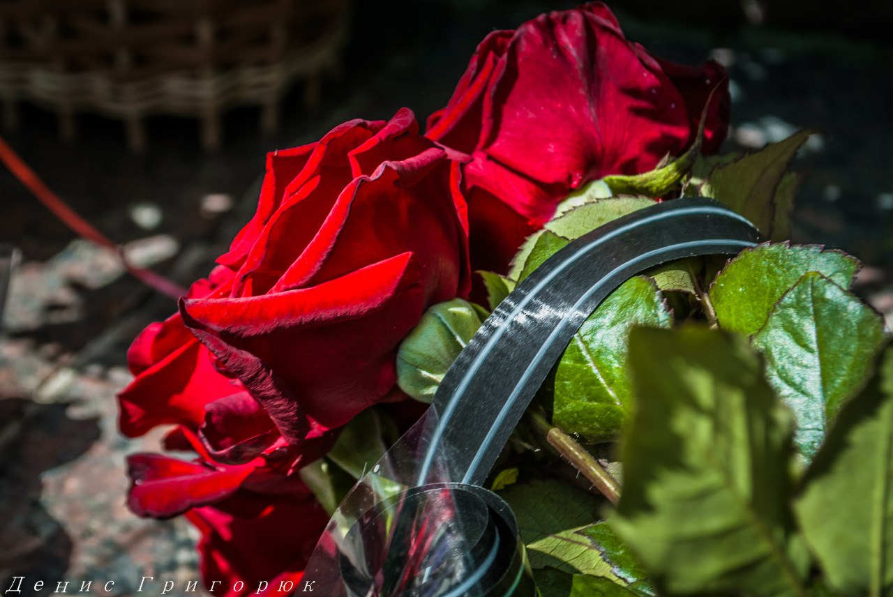 Сводки от ополчения Новороссии 22.06.2015 Сводки от ополчения Новороссии 22.06.2015