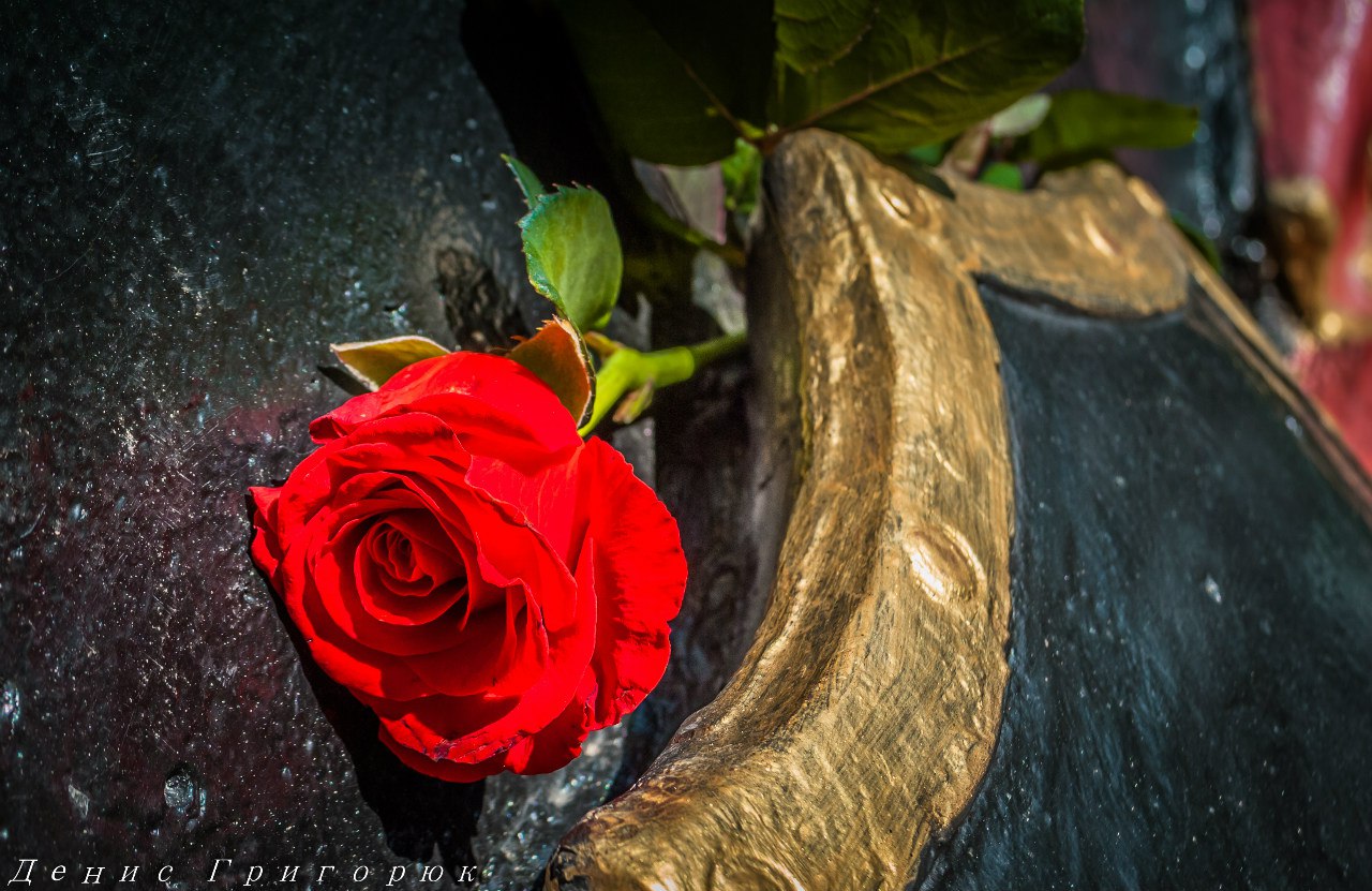 Сводки от ополчения Новороссии 22.06.2015 Сводки от ополчения Новороссии 22.06.2015