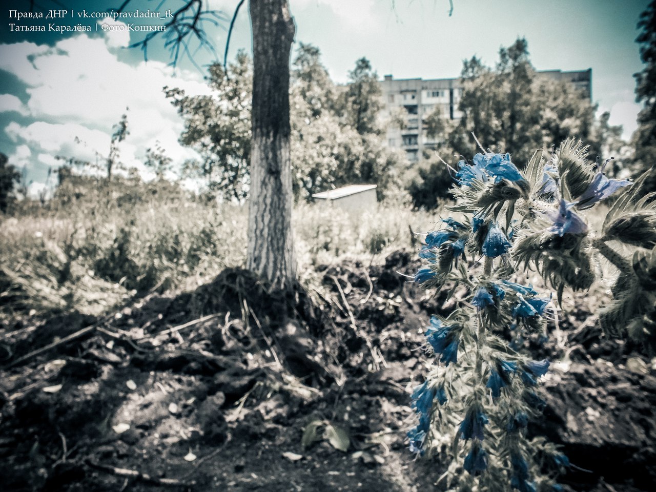 Сводки от ополчения Новороссии 22.06.2015 Сводки от ополчения Новороссии 22.06.2015