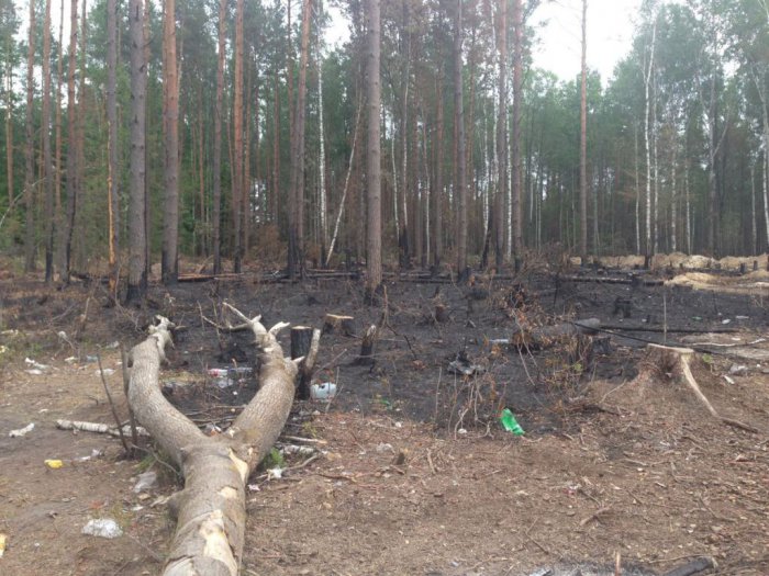 Несколько районов Центральной и Западной Украины вышли из подчинения Киева Несколько районов Центральной и Западной Украины вышли из подчинения Киева