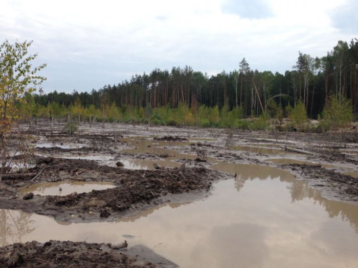 Несколько районов Центральной и Западной Украины вышли из подчинения Киева Несколько районов Центральной и Западной Украины вышли из подчинения Киева