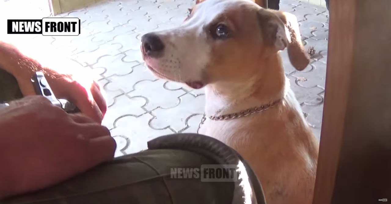 Сводки от ополчения Новороссии 23.06.2015 Сводки от ополчения Новороссии 23.06.2015