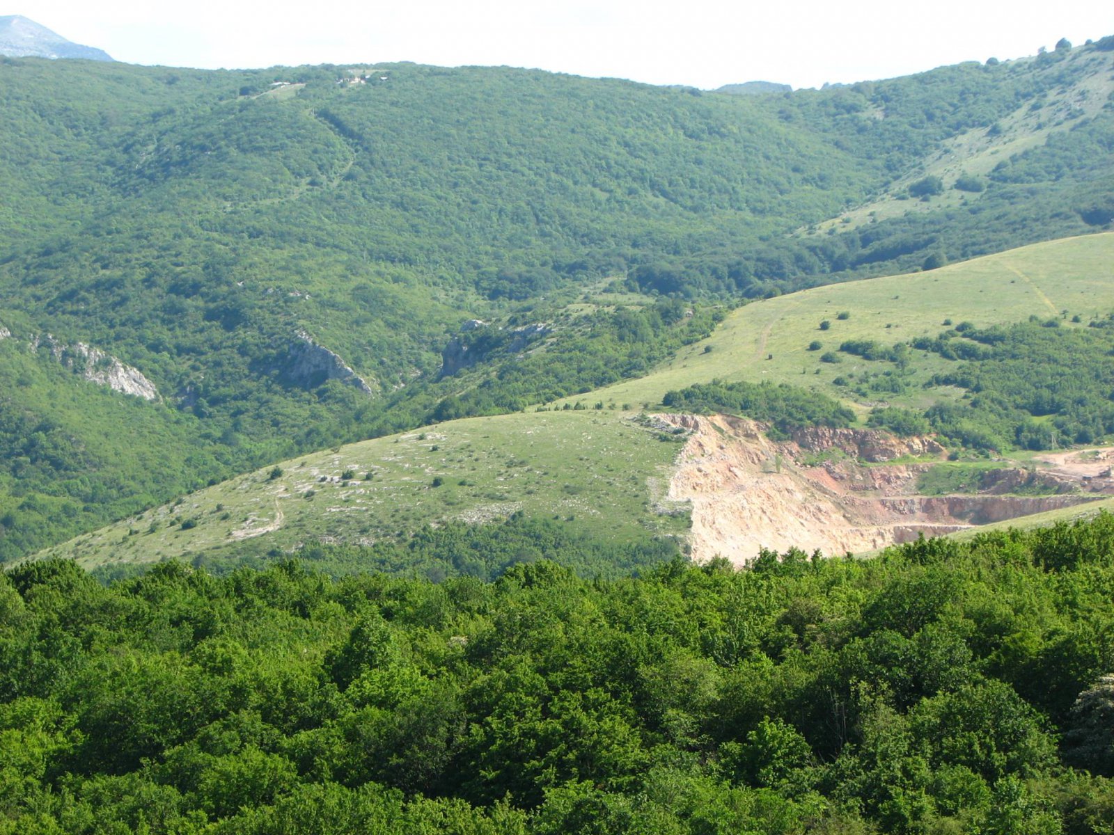 Жители Коктебеля записали обращение к Путину с требованием найти управу на украинских чиновников-перевертышей Жители Коктебеля записали обращение к Путину с требованием найти управу на украинских чиновников-перевертышей