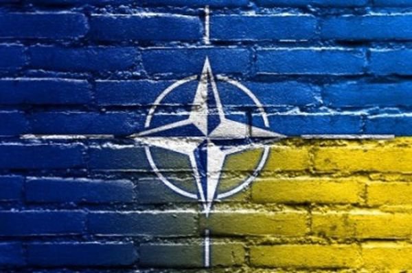 Порошенко превратил Украину в плацдарм НАТО Порошенко превратил Украину в плацдарм НАТО