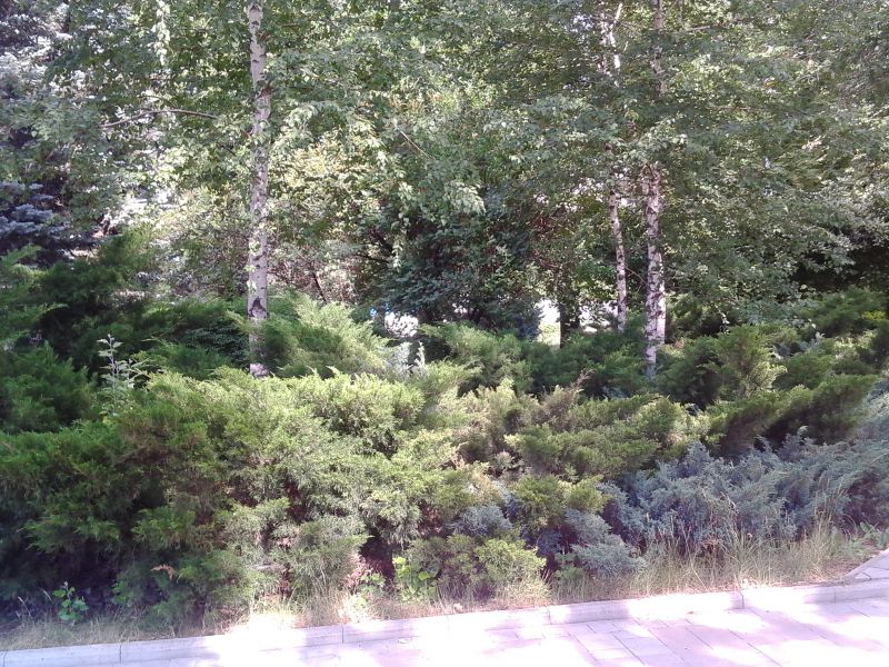 Сводки от ополчения Новороссии 27.06.2015 Сводки от ополчения Новороссии 27.06.2015