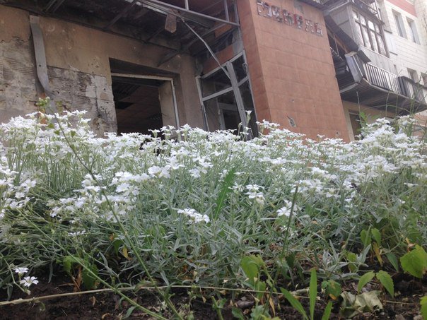 Сводки от ополчения Новороссии 28.06.2015 Сводки от ополчения Новороссии 28.06.2015