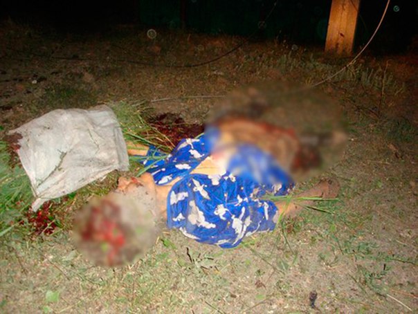 Сводки от ополчения Новороссии 29.06.2015