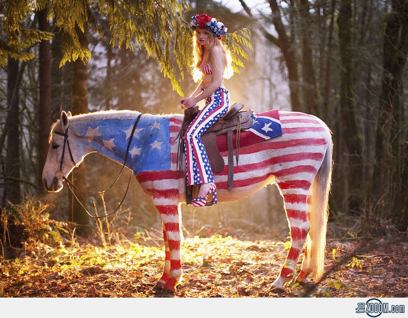 За что либералы не любят патриотов За что либералы не любят патриотов