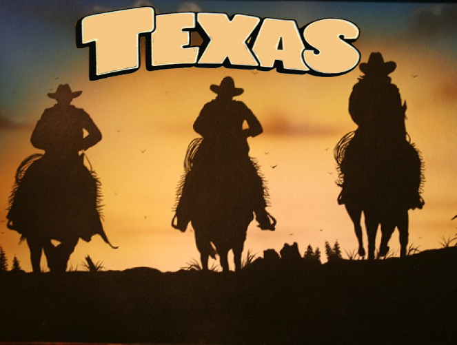 Техас не подчинится гей-атаке Администрации Обамы