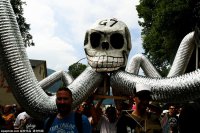 Протесты против саммита G7 в Германии следуют один за другим