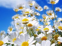 Этот день в истории - 11 июня