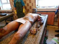Сводки от ополчения Новороссии 15.06.2015